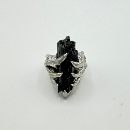 Black Current Ring