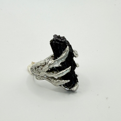 Black Current Ring